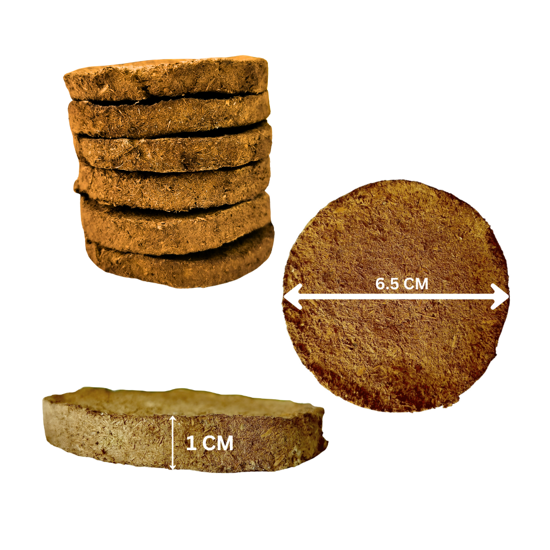 Cow Dung Cakes